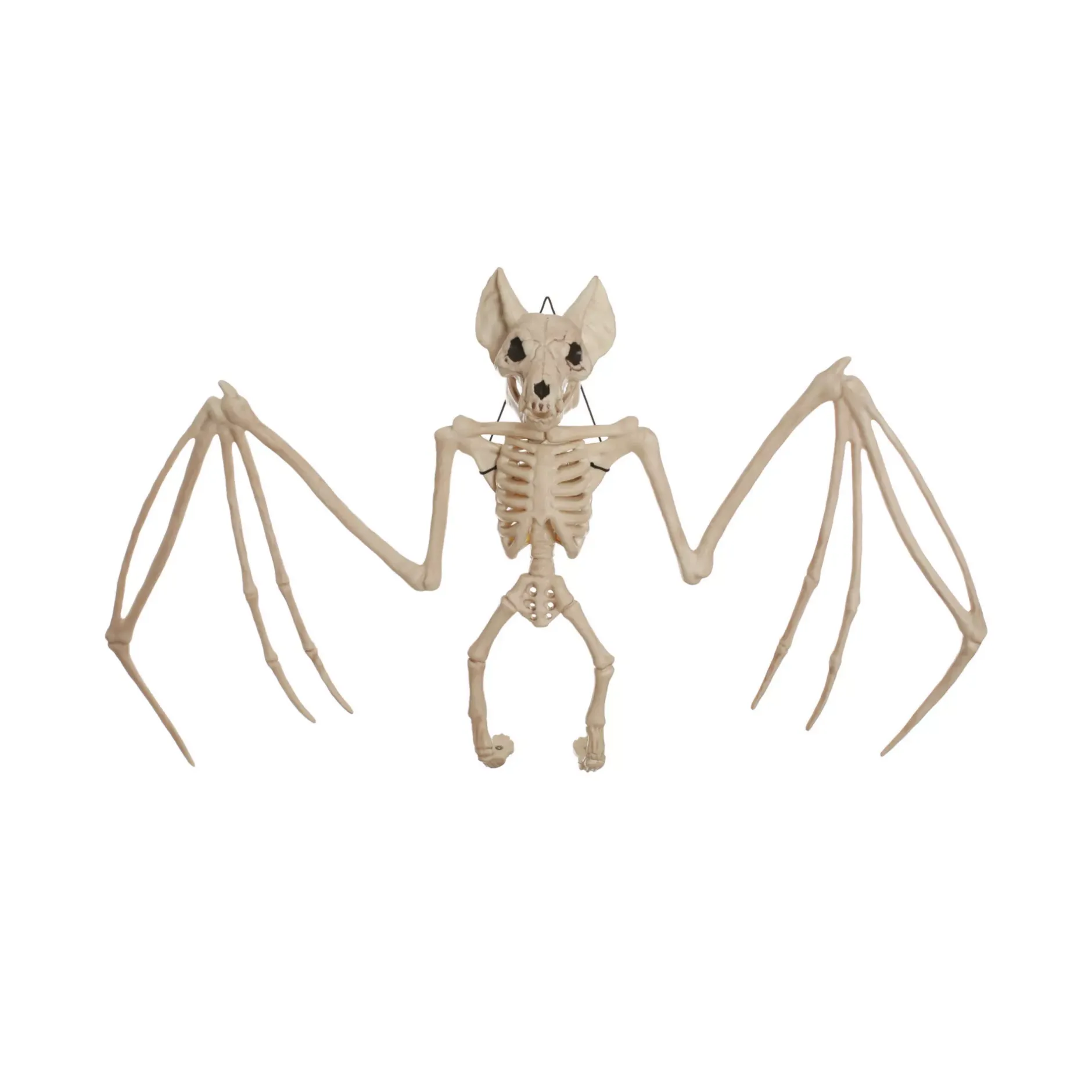 Spirit Halloween 22.5 Inch Bat Skeleton