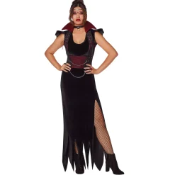 Women Spirit Halloween Adult Blood Gothic Vampire Costume