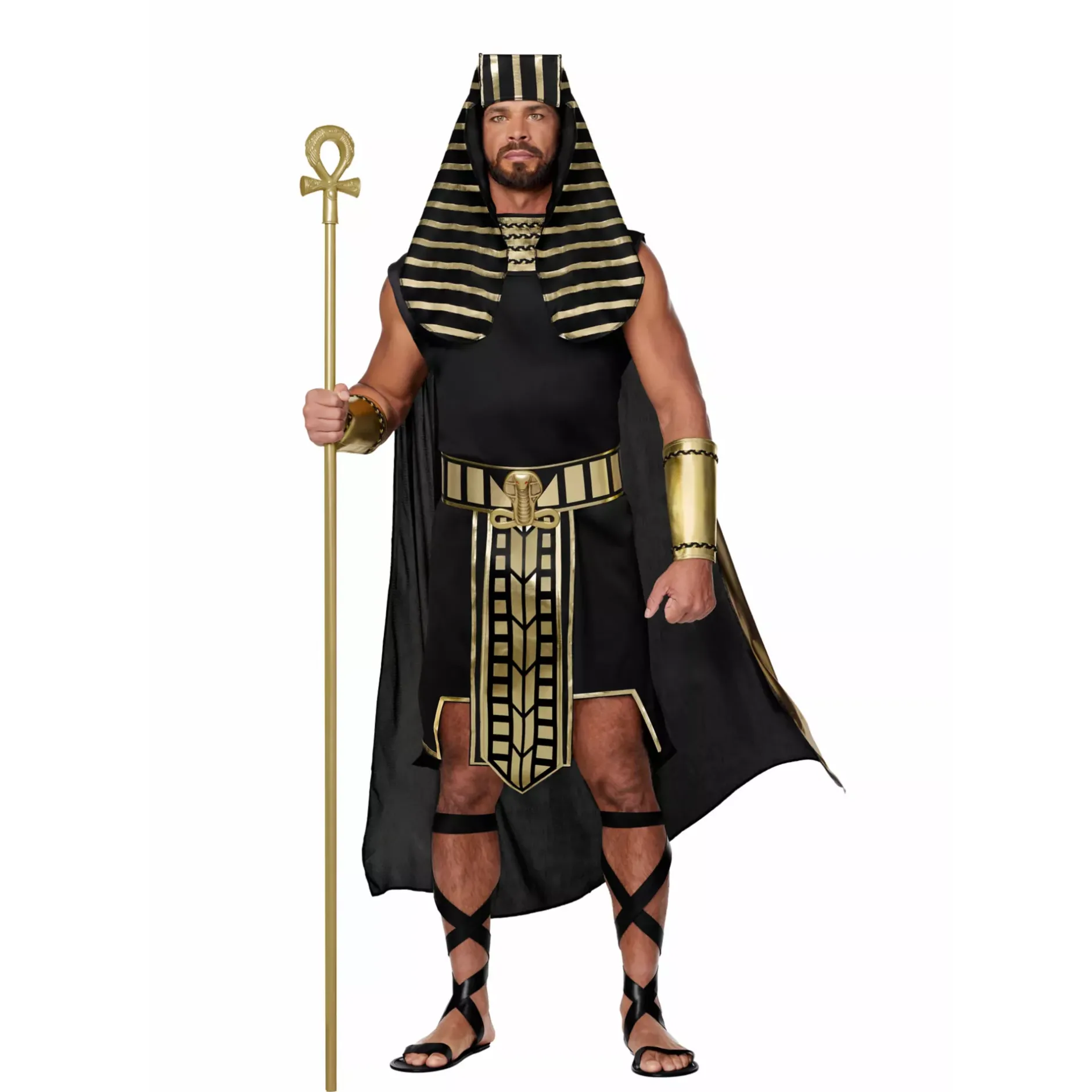 Spirit Halloween Adult Egyptian King Costume