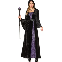 Women Spirit Halloween Adult Spider Sorceress Costume
