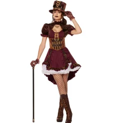 Women Spirit Halloween Adult Steampunk Dress Costume