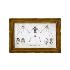 Spirit Halloween Bat Sign Set - 2 Piece