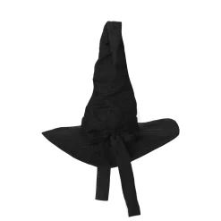Spirit Halloween Black Wizard Hat