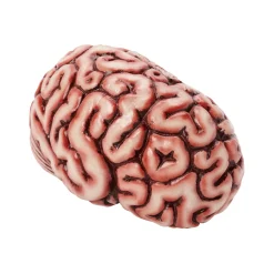 Spirit Halloween Brain Prop
