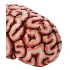 Spirit Halloween Brain Prop