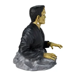 Spirit Halloween Frankenstein Bust Statue - Universal Monsters