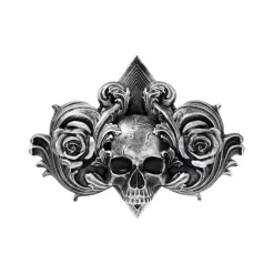 Spirit Halloween Gothic Noir Skull Wall Decor