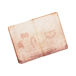 Spirit Halloween Hocus Pocus Journal - Deluxe