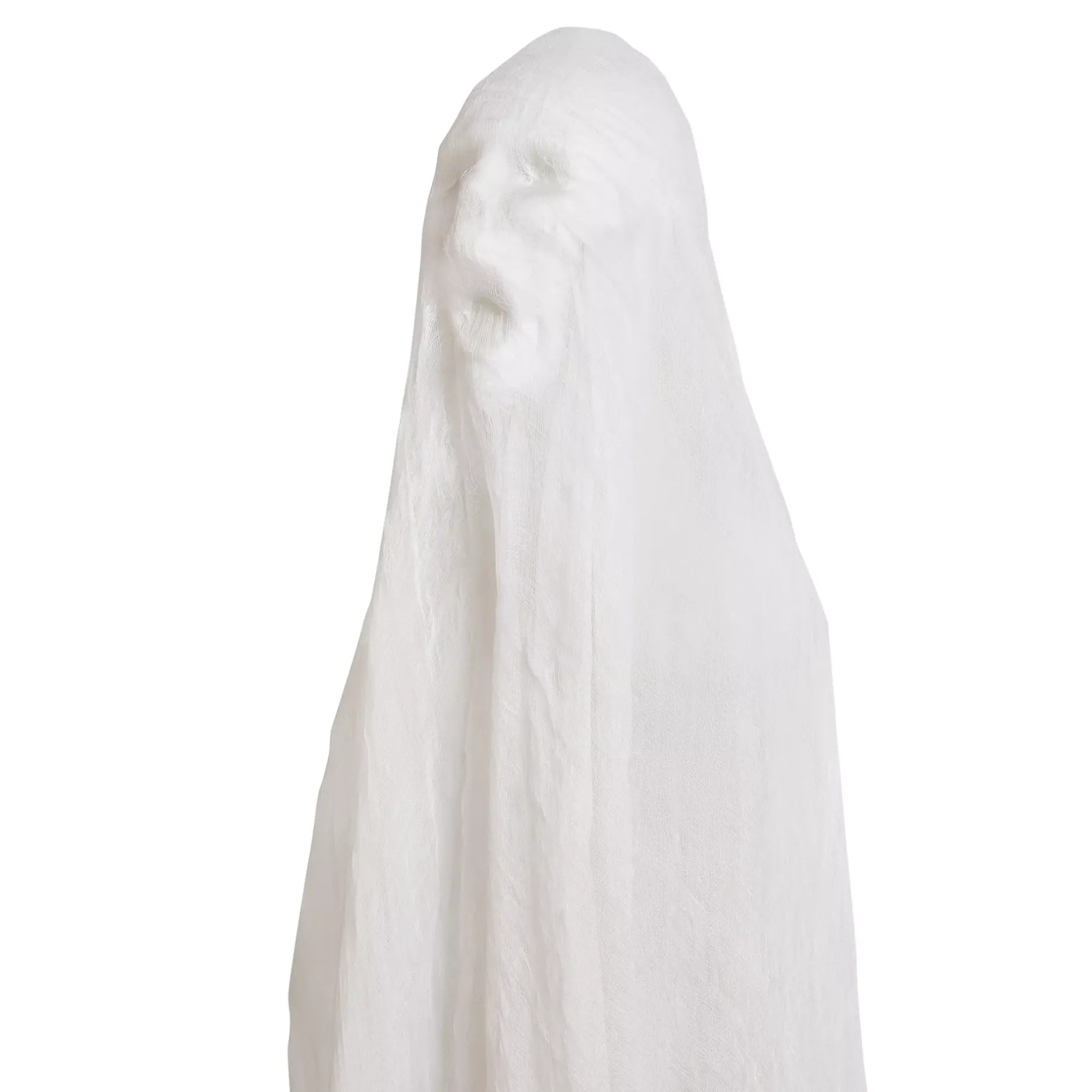 Spirit Halloween Light-Up Hanging Phantom