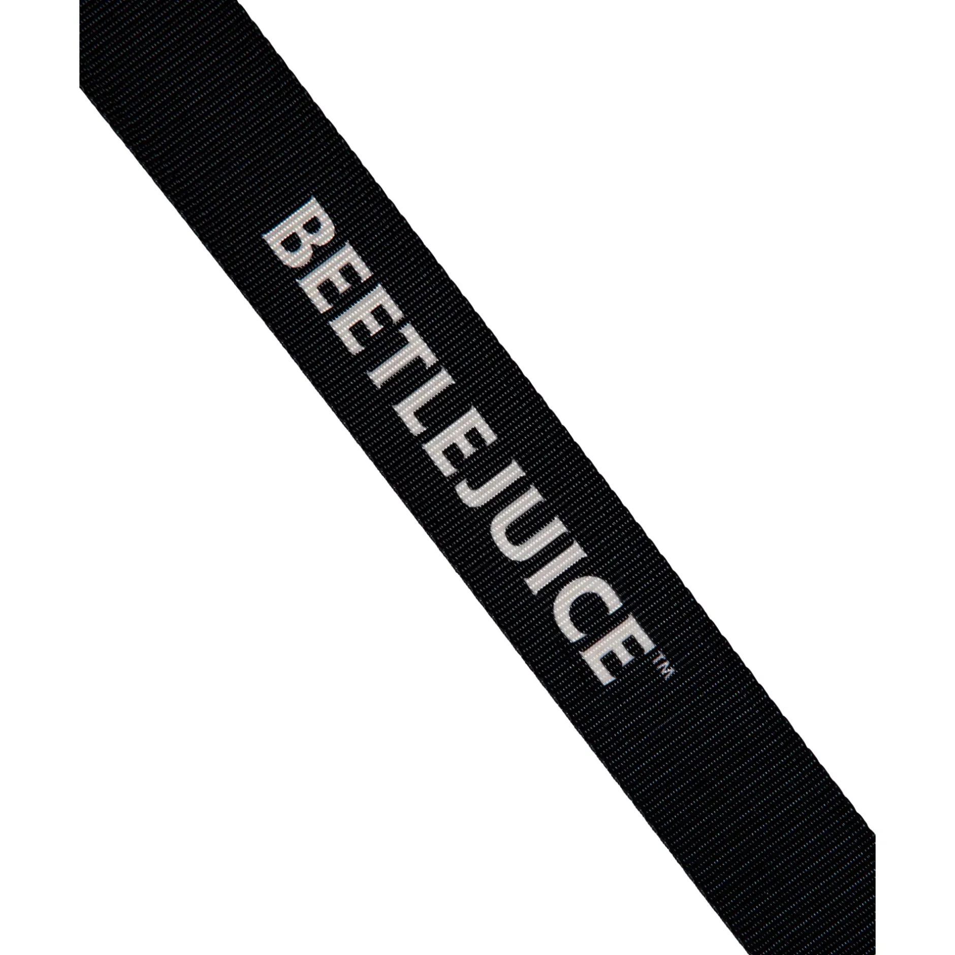 Spirit Halloween Lydia Camera Crossbody Bag - Beetlejuice