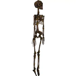 Spirit Halloween Moss Skeleton