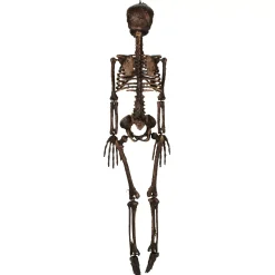 Spirit Halloween Moss Skeleton