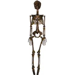 Spirit Halloween Moss Skeleton