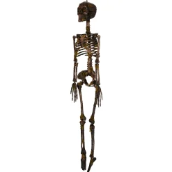 Spirit Halloween Moss Skeleton