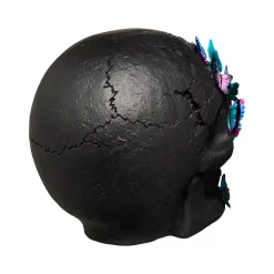 Spirit Halloween Mystical Arts Black Butterfly Skull