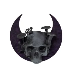 Spirit Halloween Mystical Arts Skull Moon Wall Sign