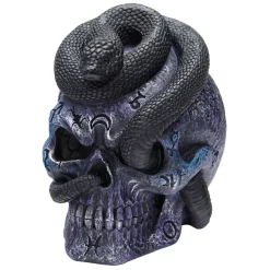 Spirit Halloween Mystical Arts Snake Skull