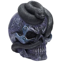 Spirit Halloween Mystical Arts Snake Skull