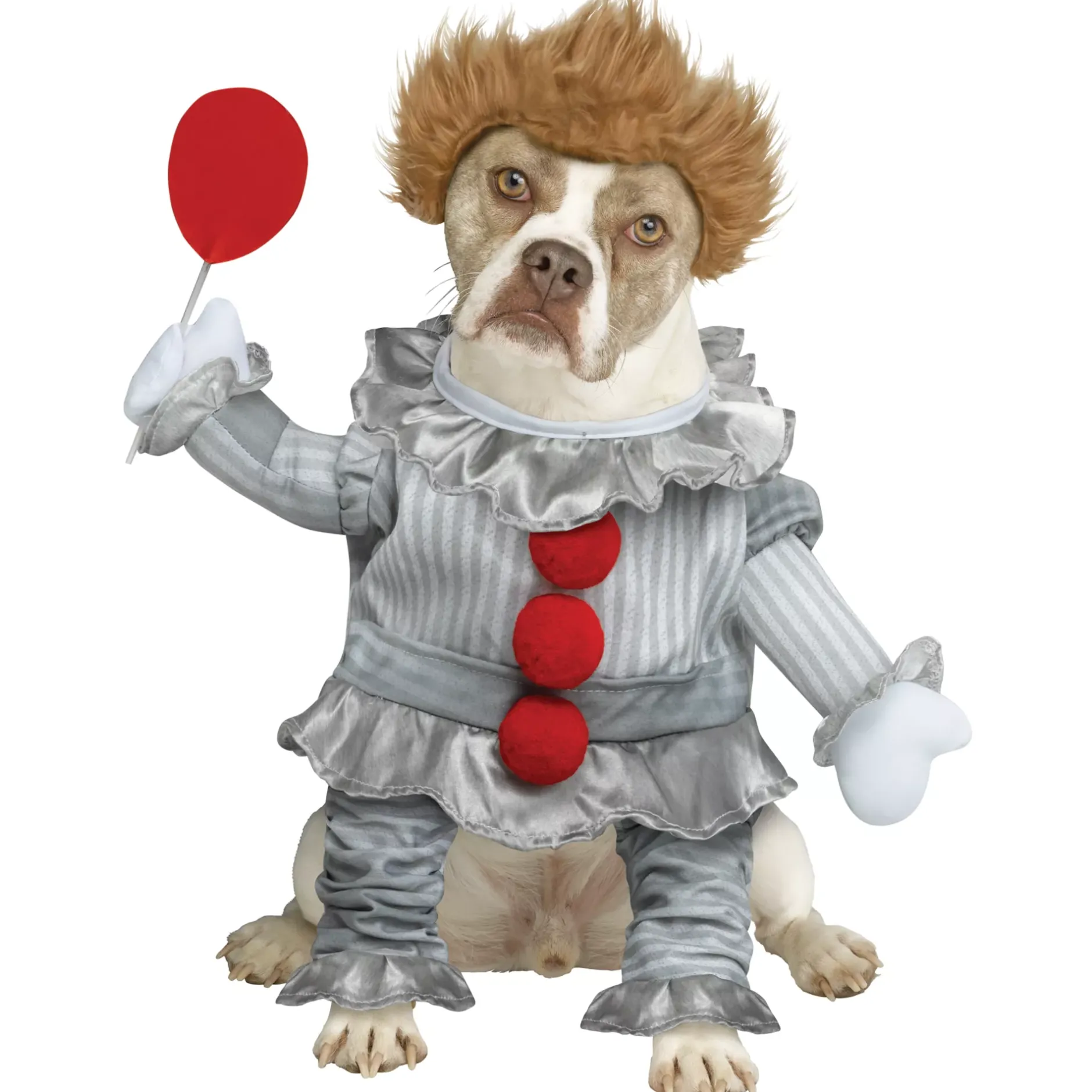 Spirit Halloween Pennywise Pet Costume - It
