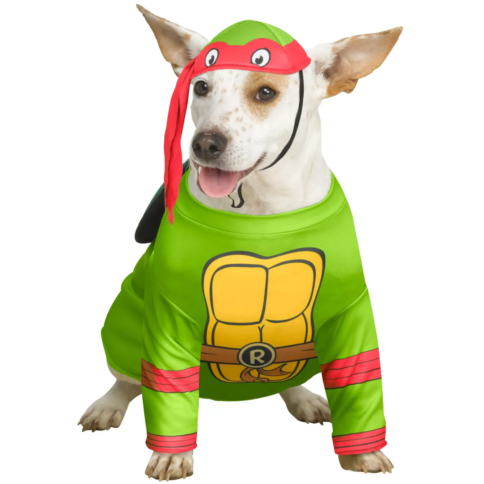 Spirit Halloween Raphael Pet Costume - Teenage Mutant Ninja Turtles