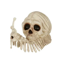 Spirit Halloween Skeleton Skull Snail