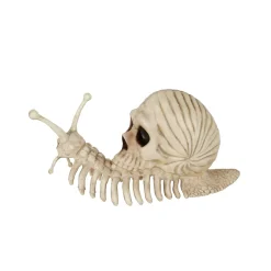 Spirit Halloween Skeleton Skull Snail