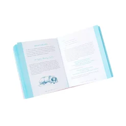 Spirit Halloween The Crystal Witch Book