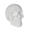 Spirit Halloween White Skull Tabletop Decoration