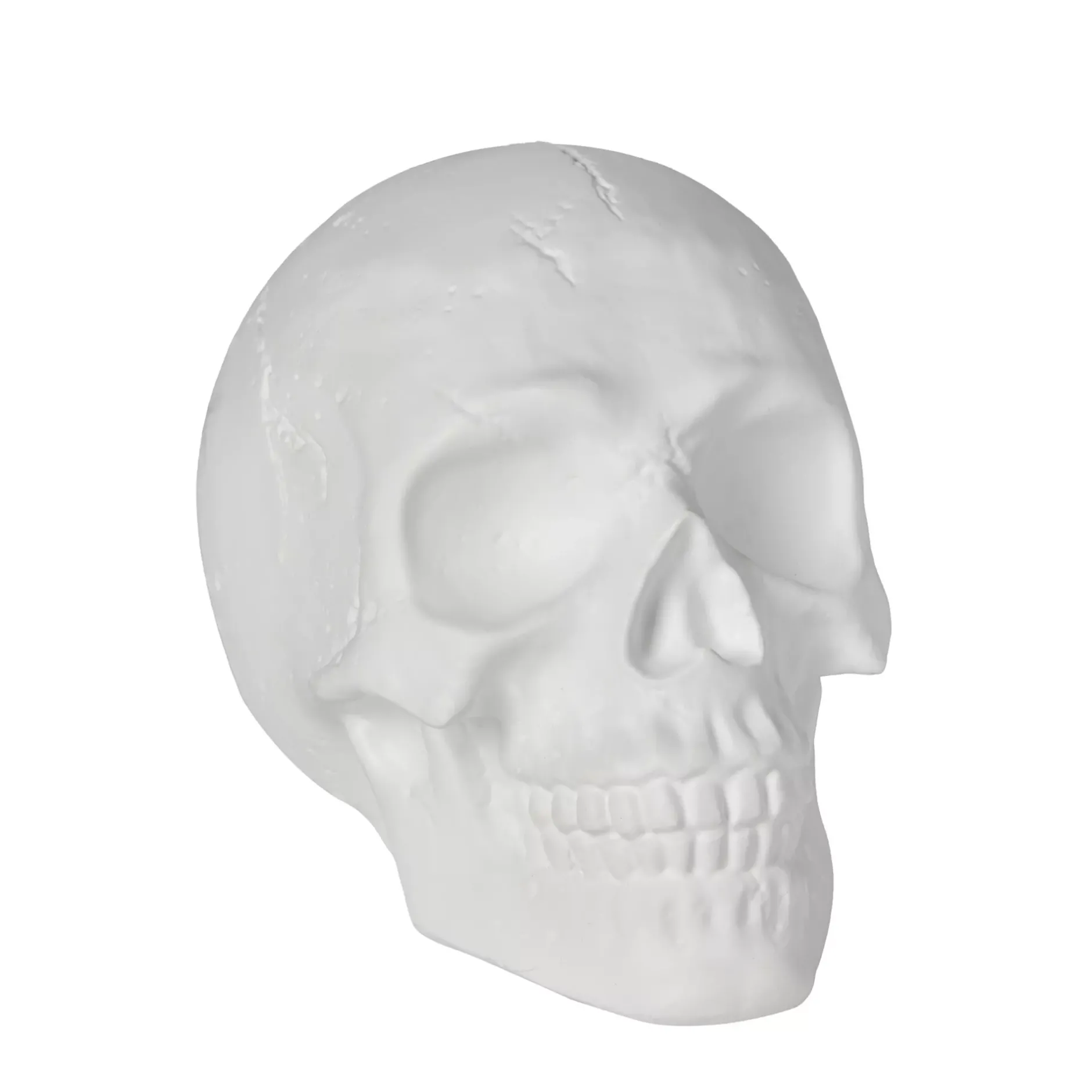 Spirit Halloween White Skull Tabletop Decoration