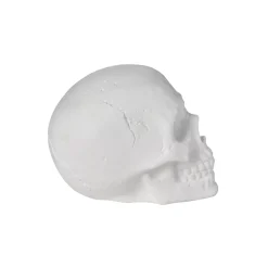 Spirit Halloween White Skull Tabletop Decoration