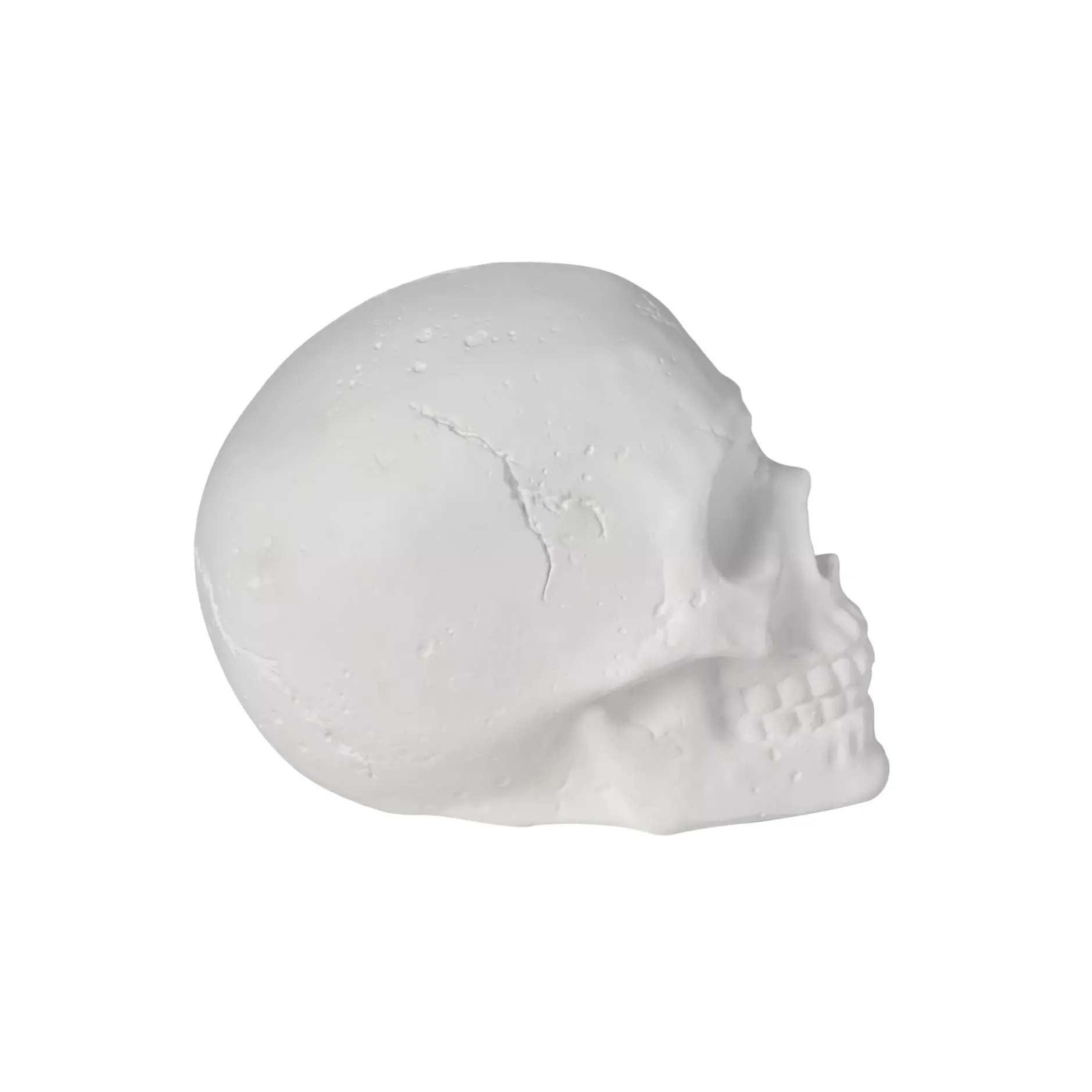 Spirit Halloween White Skull Tabletop Decoration