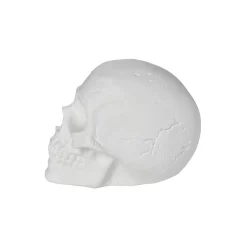 Spirit Halloween White Skull Tabletop Decoration