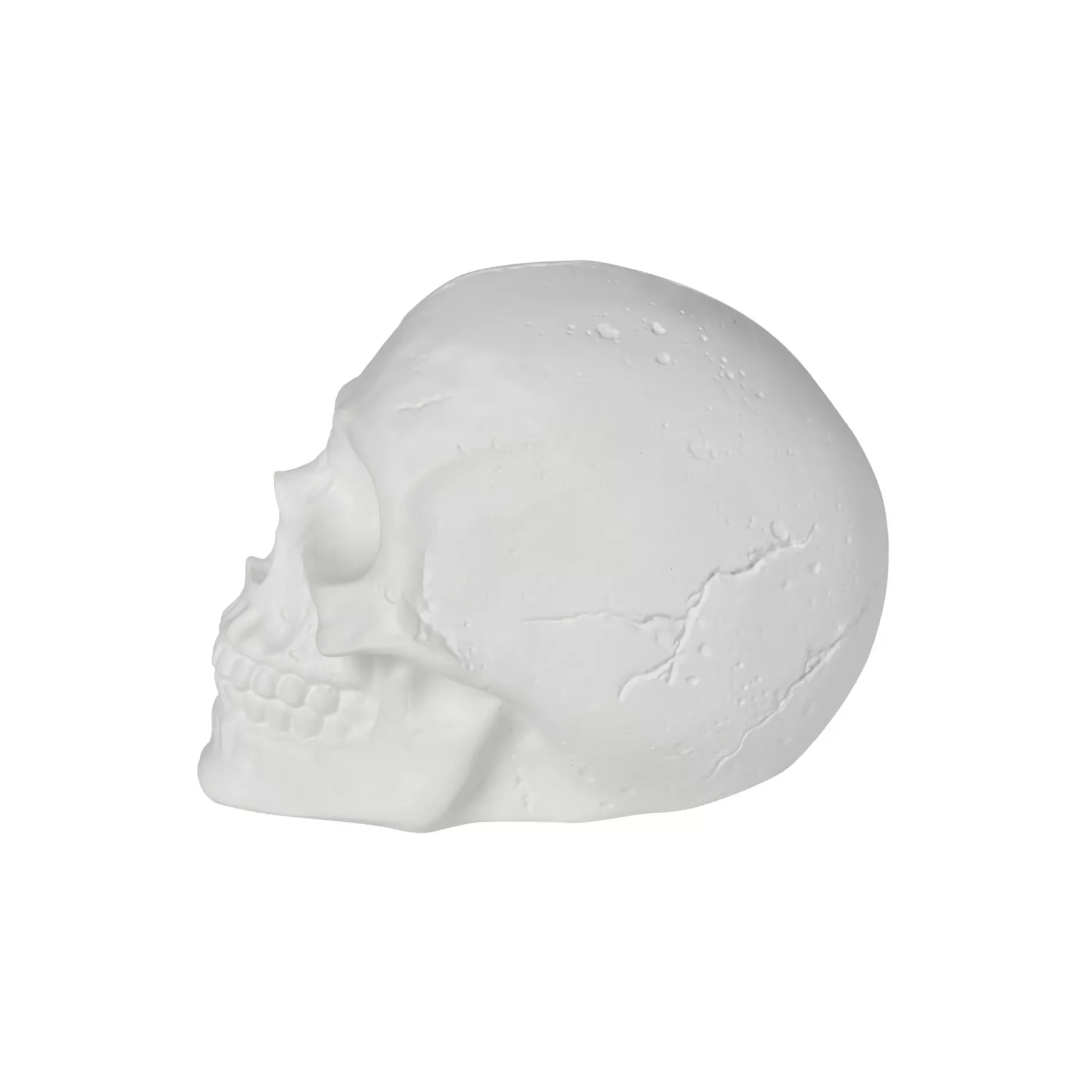 Spirit Halloween White Skull Tabletop Decoration