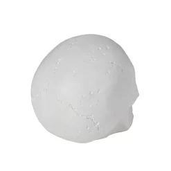Spirit Halloween White Skull Tabletop Decoration
