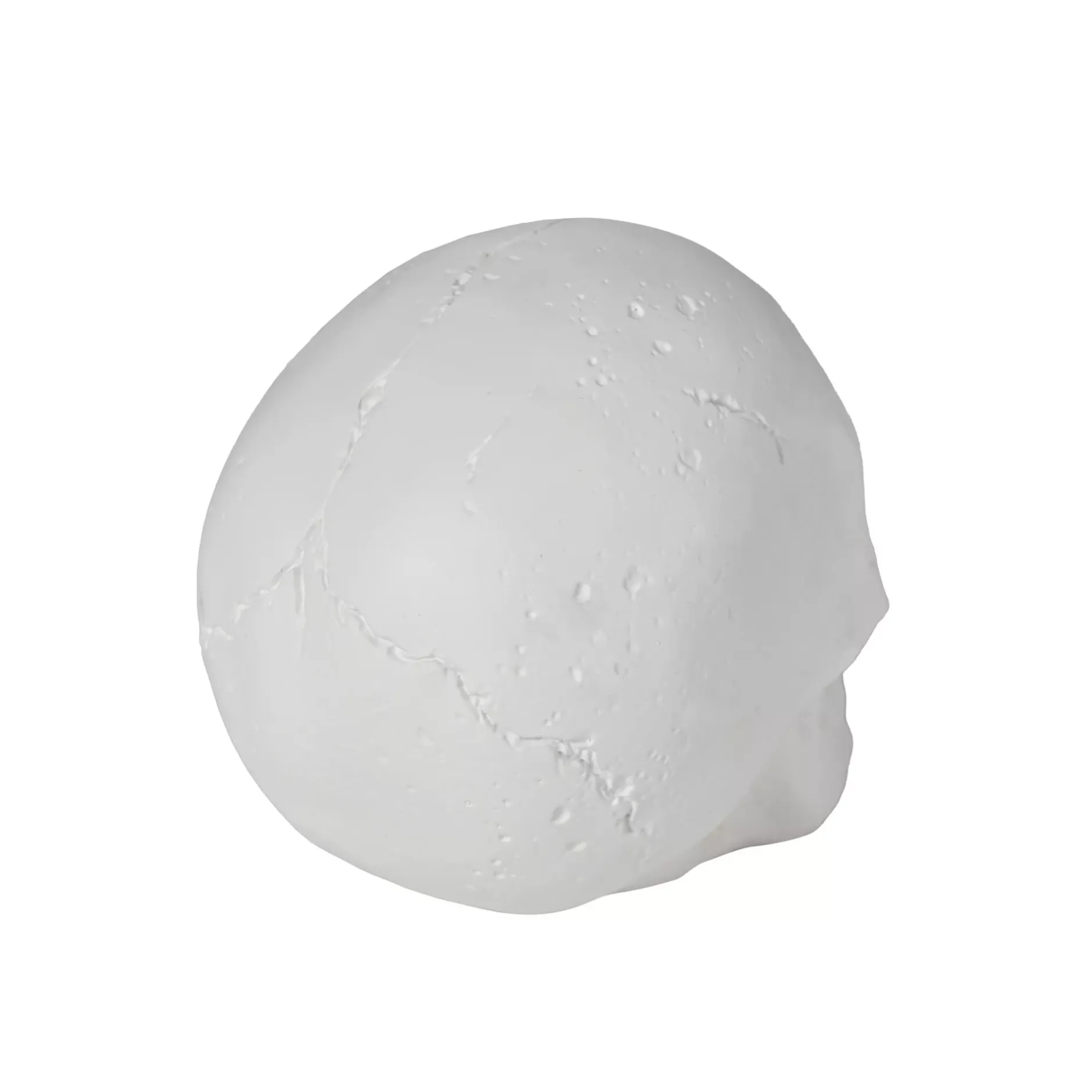 Spirit Halloween White Skull Tabletop Decoration