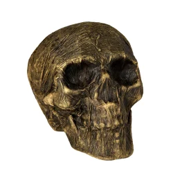 Spirit Halloween Wrapped Skull Decoration