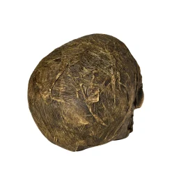 Spirit Halloween Wrapped Skull Decoration